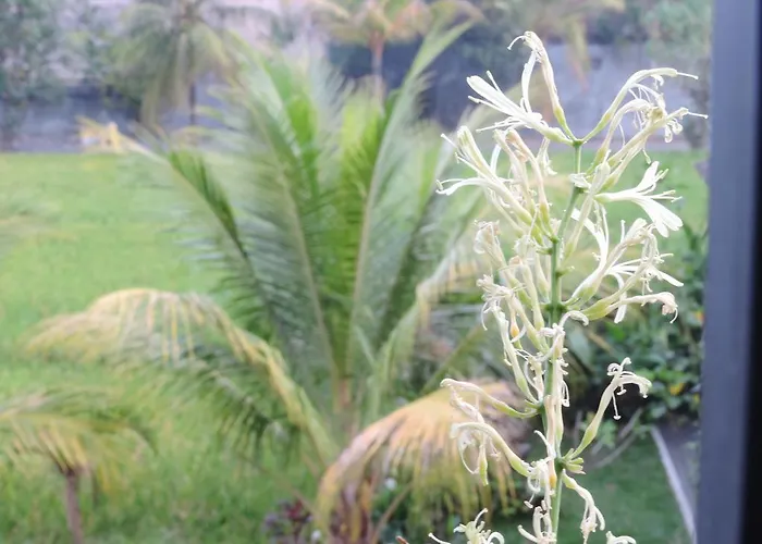 Arnawa 3* Ubud